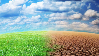 Comprendre le risque climatique sécheresse